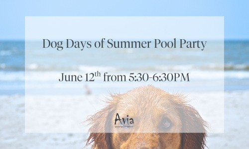 Dog Days of Summer Pool Party Dog Days of Summer Pool Party