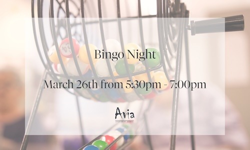 Bingo Night