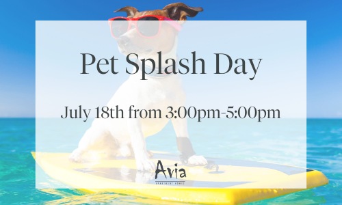 Pet Splash Day 
