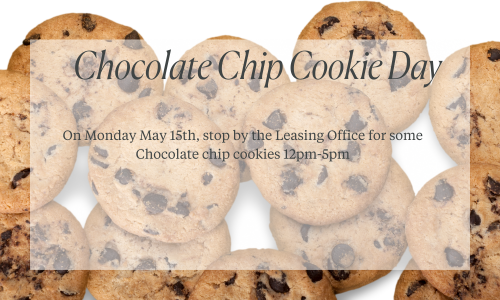 Chocolate Chip Cookie Day Cover Image