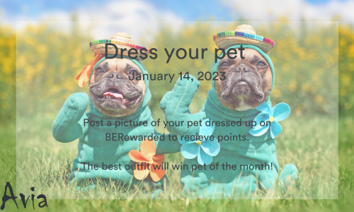 Dress Your Pet Cover Image