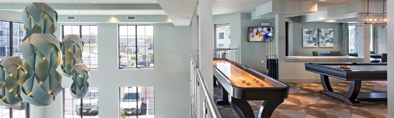 Image showcasing Pet-friendly apartments in Richmond, VA | Avia